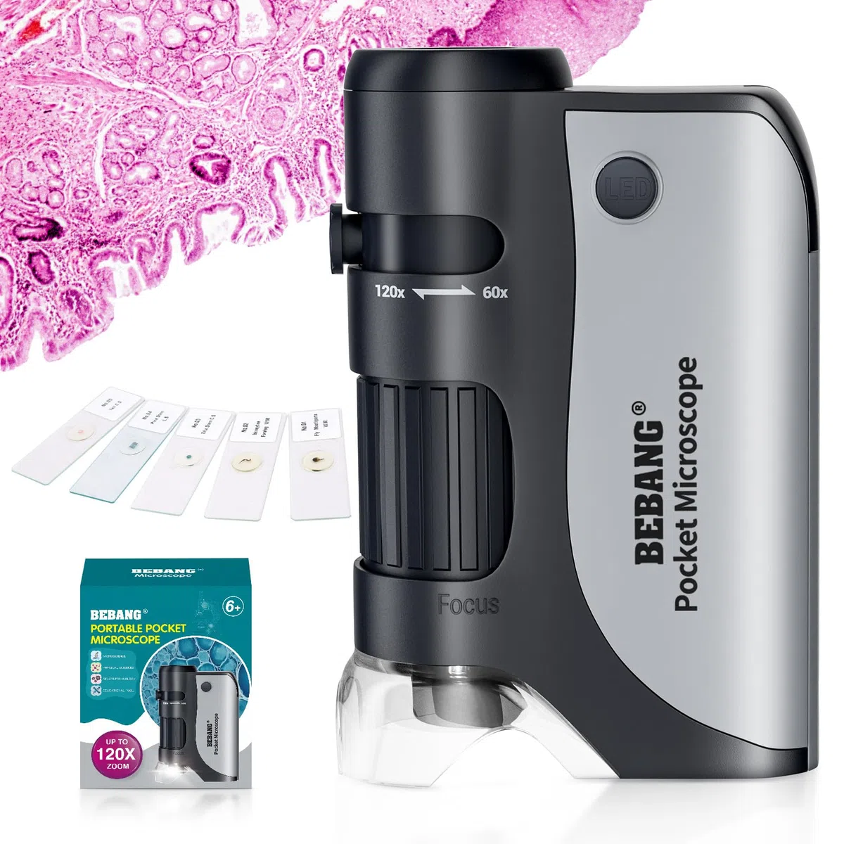 Microscopio tascabile per bambini, mini microscopio Ottico con zoom illuminato a LED, 5 vetrini preparati, Plus-microscopio biologico portatile per studenti, osservazione microbiologica (Nero)