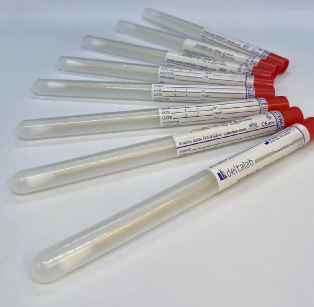 CMJ - 15 tamponi sterili per la raccolta di trasporti, 15 cm, in legno di cotone