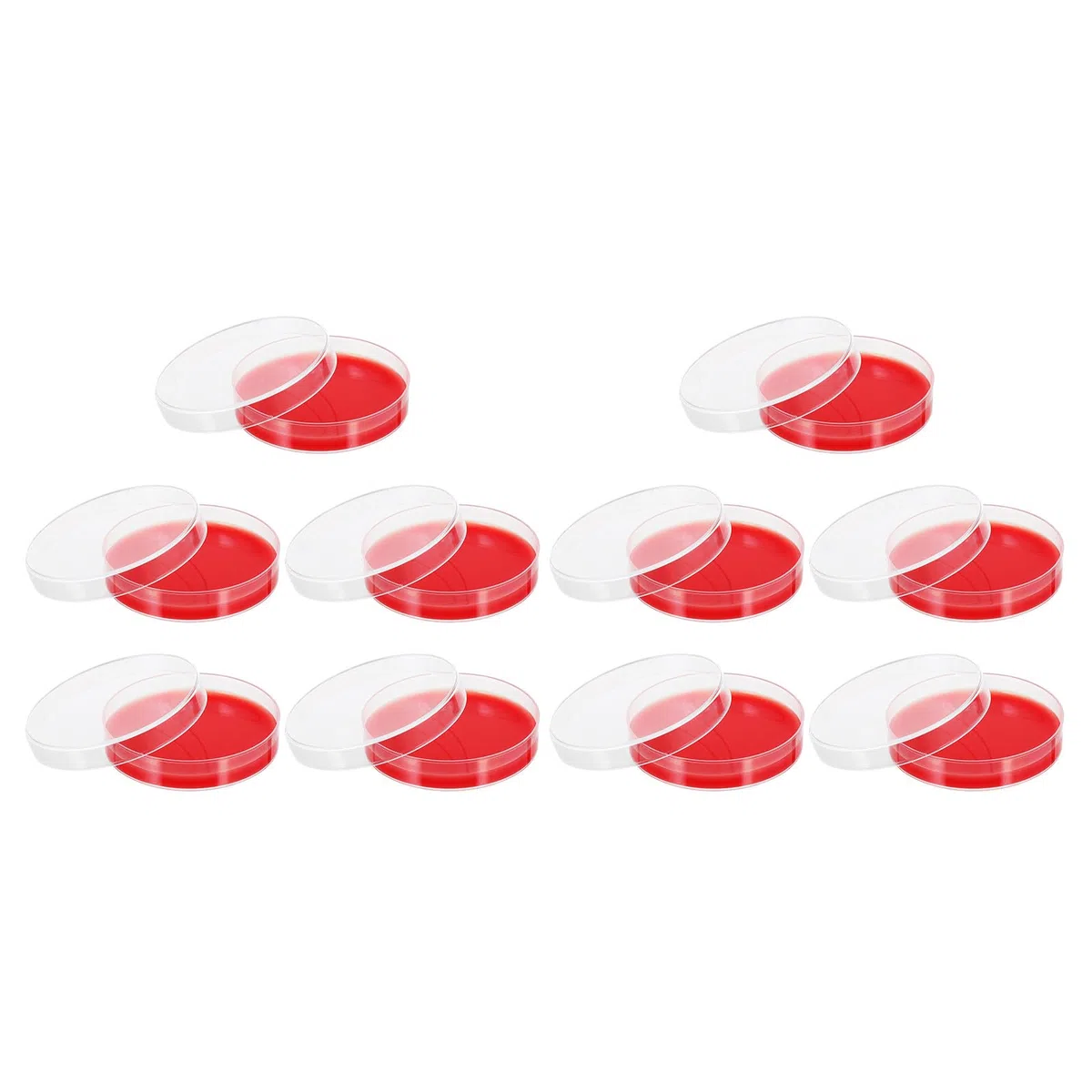 Piastra Agar Rosso per Coltura di Stafilococco, 10 Pezzi, Diametro 70mm, Materiale Pe, per Laboratorio e Istituti Medici