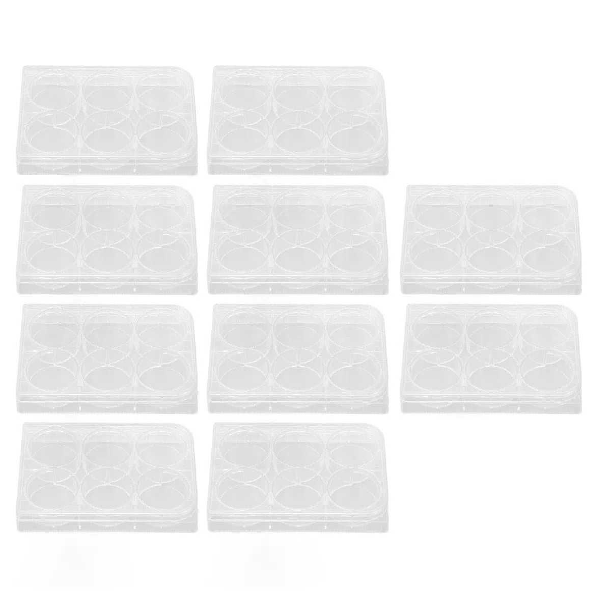 Piastra per coltura da 10 pezzi, Piastra per coltura trasparente Piastre per agar Piastra per coltura cellulare con coperchio per sala di biologia di laboratorio (6 Holes)