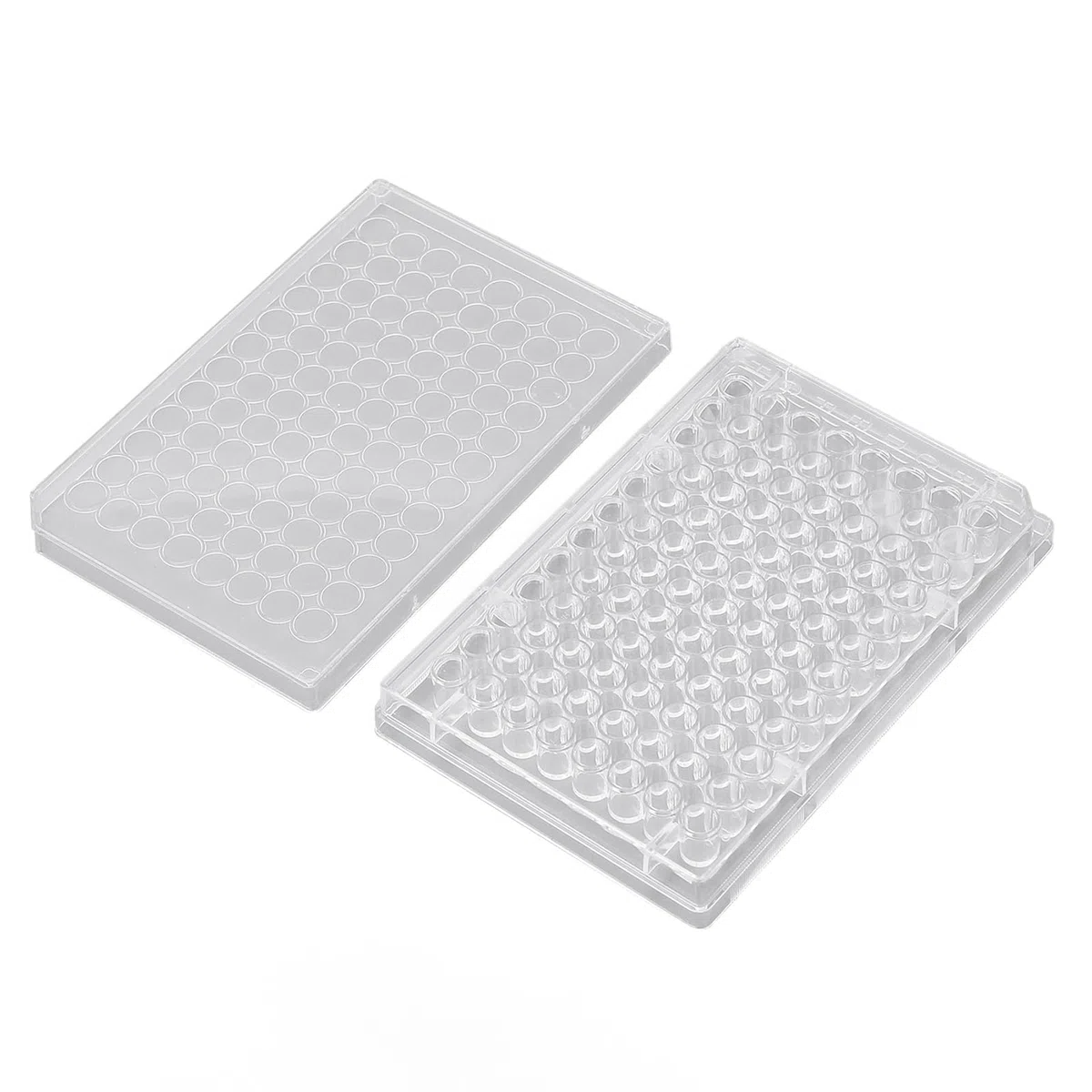 Piastra per Coltura Cellulare Sterile, 96 Pozzetti, Fondo Piatto, Polistirene Trasparente, 10 Pezzi, per Laboratorio Biologico