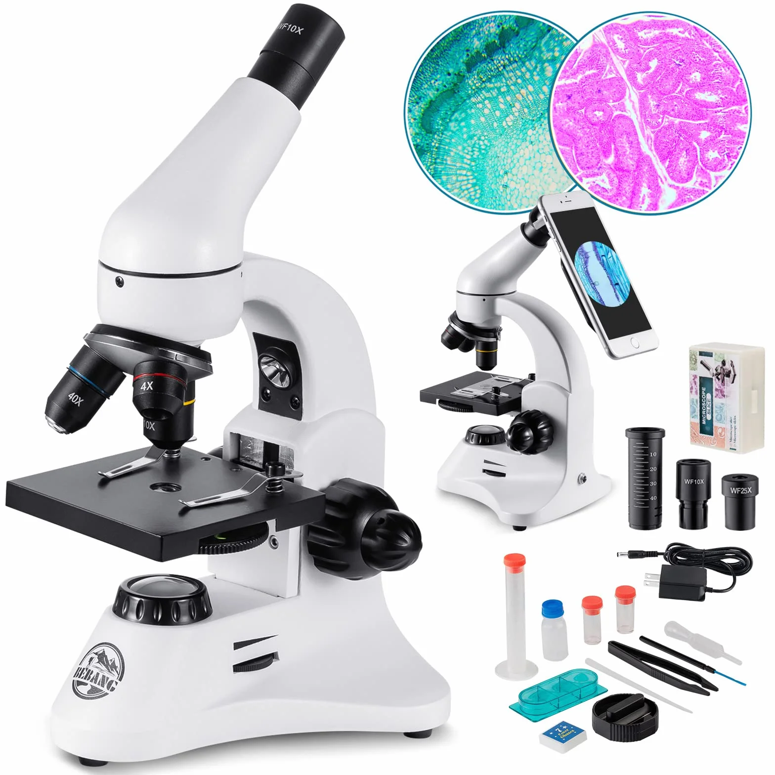 2000X Microscopio Ottico Professionale, Microscopi Monoculari Composti Biologici per Bambini e Studenti e Adulti