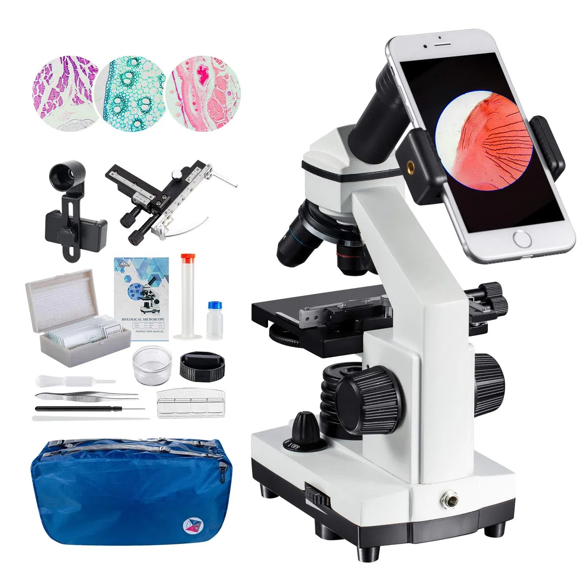 MAXLAPTER Microscopio 2000x a LED con righello mobile - Ottica da laboratorio con lame preparate e vergini - Adattatore per lenti