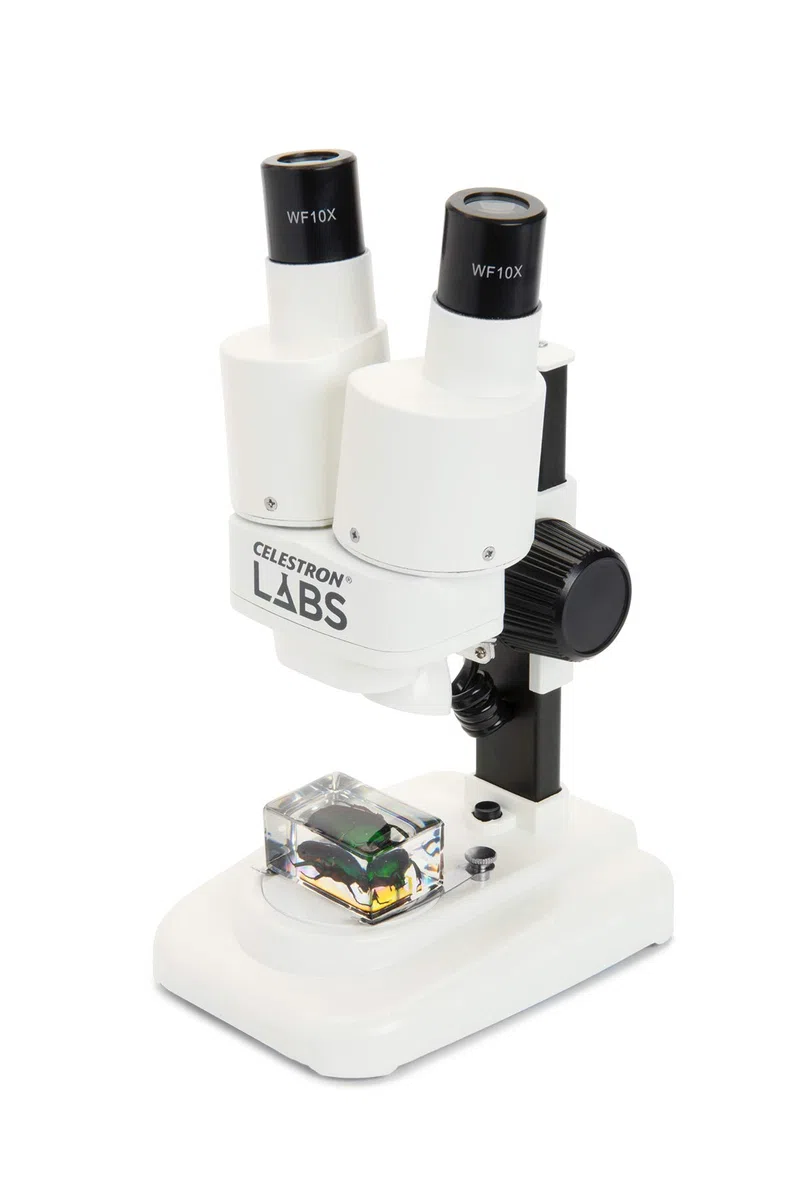 Celestron 44207 Labs CL-S20 Microscopio stereo