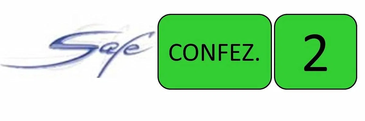 SAFE GROUP LAME STERILIZZATE PER IPERCHERATOSI N 2 ACCIAIO INOSSIDABILE (100pz)