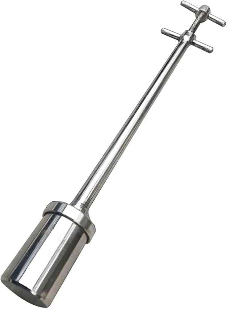 Tubo per campionamento di liquidi, campionatore di liquidi viscosi in Acciaio Inossidabile, Tubo per campionamento di liquidi Resistente alle Alte Temperature da 100 ml/200 ml, sonda di Camp